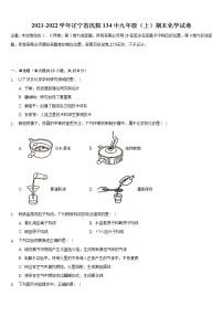 辽宁省沈阳市第一三四中学2021-2022学年九年级上学期期末化学试卷（word版 含答案）