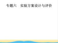 中考化学总复习优化设计专题综合突破专题六实验方案设计与评价课件