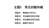 2022年陕西省中考化学一轮复习课件：主题5　常见的酸和碱