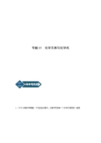 专题05 化学元素与化学式-5年(2017-2021)中考1年模拟化学分项汇编(河南专用)·