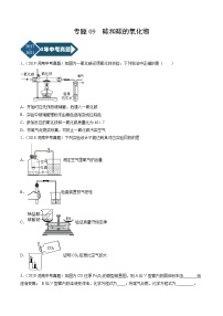 专题09 碳和碳的氧化物-5年（2017-2021）中考1年模拟化学分项汇编（河南专用）·