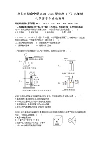 阜阳市城南中学2021-2022学年度（下）九年级化学开学作业检测卷