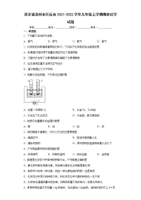 河北省沧州市任丘市2021-2022学年九年级上学期期末化学试题（word版 含答案）