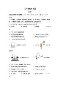河南省濮阳市2021-2022学年九年级上学期期末化学试题(文字版,含答案)