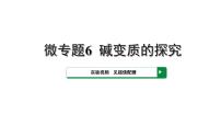 2022版中考化学大一轮培优训练及课件微专题6 碱变质的探究课件