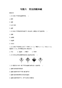 2022版中考化学大一轮培优训练及课件专题六 常见的酸和碱