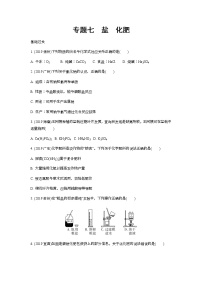 2022版中考化学大一轮培优训练及课件专题七 盐 化肥