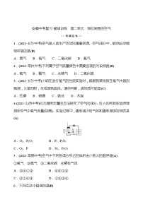 备战2022 人教版化学中考复习  梯级训练  第二单元　我们周围的空气（安徽版）