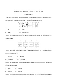 备战2022 人教版化学中考复习  梯级训练  第十单元　酸　和　碱（安徽版）