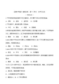 备战2022 人教版化学中考复习  梯级训练  第十二单元　化学与生活（安徽版）