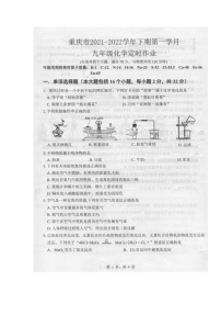 重庆市2021-2022学年九年级下学期第一学月定时作业化学试题无答案