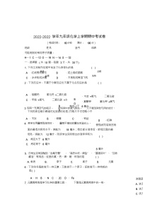 九年级化学上学期期中考试卷人教新课标版