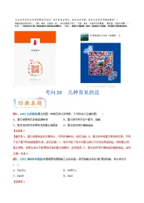 专题20 几种常见的盐（重点、难点）-备战2022年中考化学一轮复习考点微专题