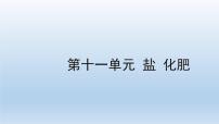 2022中考一轮单元复习  11.第十一单元 盐 化肥课件PPT