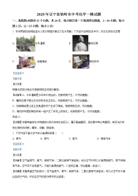 2020年辽宁省铁岭市中考一模化学试题(含解析)