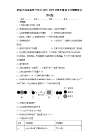 内蒙古乌海市第二中学2021-2022学年九年级上学期期末化学试题（word版含答案）