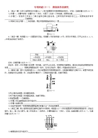 中考化学二轮复习专项突破11《燃烧条件的探究》练习题(含答案)
