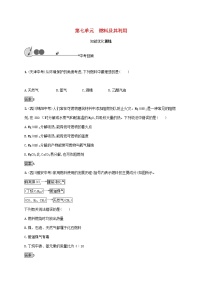 中考化学一轮复习基础知识过关07燃料及其利用知能优化训练 (含答案)