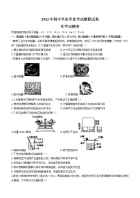 2022年安徽省合肥市瑶海区中考一模化学试题（word版含答案）