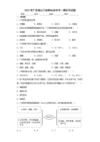 2022年广东省江门市鹤山市中考一模化学试题（word版含答案）