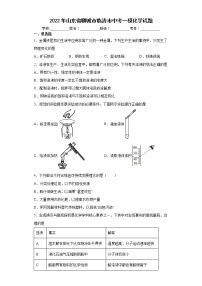 2022年山东省聊城市临清市中考一模化学试题(word版含答案)