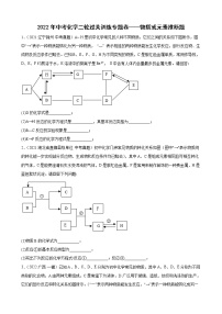 2022年中考化学二轮过关训练专题卷——物质或元素推断题