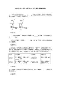 2022年中考化学专题复习：科学探究题突破训练