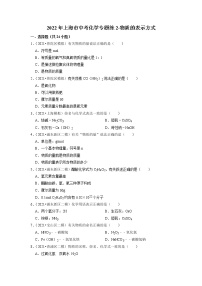 2022年上海市中考化学专题练-物质的表示方式