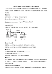2022年中考化学二轮专项复习卷——科学探究题