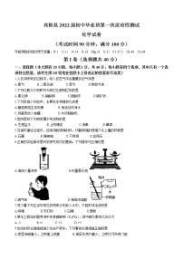 2022年广西南宁市宾阳县中考一模化学试题