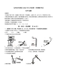 2022年陕西省宝鸡市凤翔区中考一模化学试题(word版无答案)