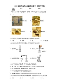 2022年陕西省西安市蓝田县中考一模化学试题(word版含答案)