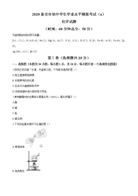 山东省泰安市2020届九年级中考二模化学试题及答案