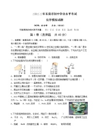 2022年山东省东营市初中学业水平考试化学模拟试题(word版含答案)