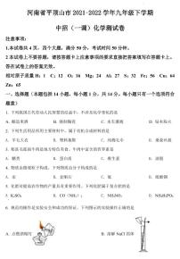 2022河南省平顶山市初三一模化学试卷及答案