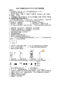 2022年安徽省桐城市杨公中学中考化学模拟题