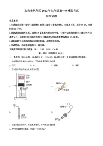 2022年陕西省宝鸡市凤翔区中考一模化学试题