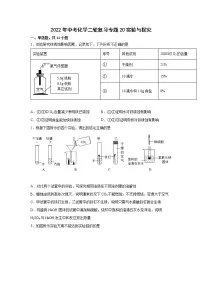 2022年中考化学二轮复习专题20实验与探究