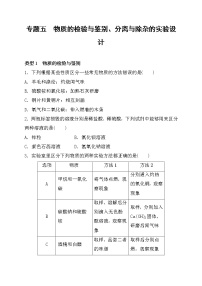 2022年中考化学鲁教版（五四学制）二轮专题复习练习-专题五+物质的检验与鉴别、分离与除杂的实验设计