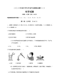 山东省聊城临清市2020届九年级中考二模化学试题及答案