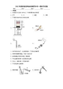 2022年陕西省宝鸡市凤翔区中考一模化学试题(word版含答案)