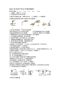 2022年湖北省十堰市房县中考模拟化学试题四(word版无答案)