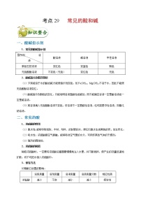 【专项练习】2021年中考化学分类汇编 考点29 常见的酸和碱