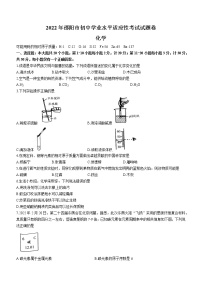 2022年湖南省邵阳市中考模拟化学试题(word版含答案)