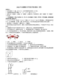 2022年安徽省中考化学仿真卷（四）(word版含答案)