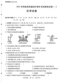 2022年河南省郑州外国语中学九年级普通高等学校招生考试（一模）化学试题