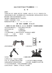 2022年陕西省渭南市韩城市初中学业水平模拟化学试题（一）(word版含答案)