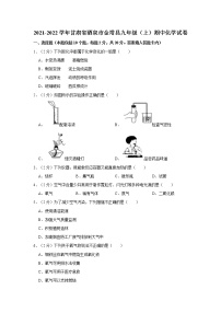 2021-2022学年甘肃省酒泉市金塔县九年级（上）期中化学试卷（含答案）