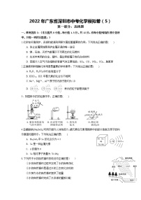 2022年广东省深圳市中考化学模拟卷