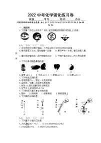 2022年中考化学二轮复习强化练习卷